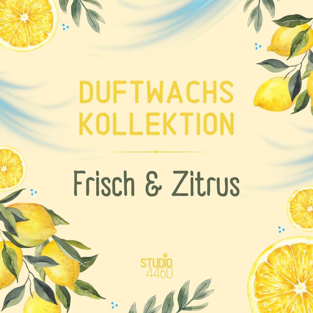 Handgemachter Duftwachs aus Sojawachs - vegane Wax Melts - nachhaltig und tierversuchsfrei hergestellt